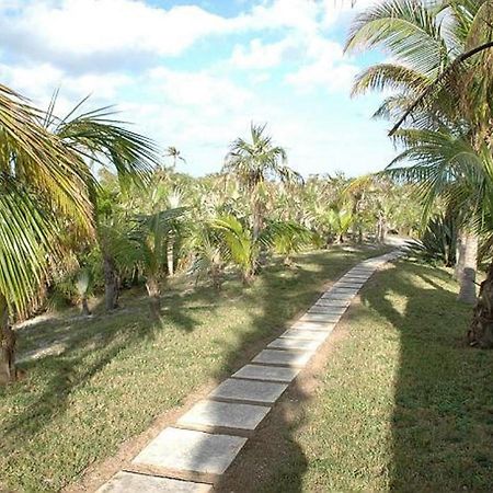 Rocks Retreat By Eleuthera Vacation Rentals North Palmetto Point 外观 照片